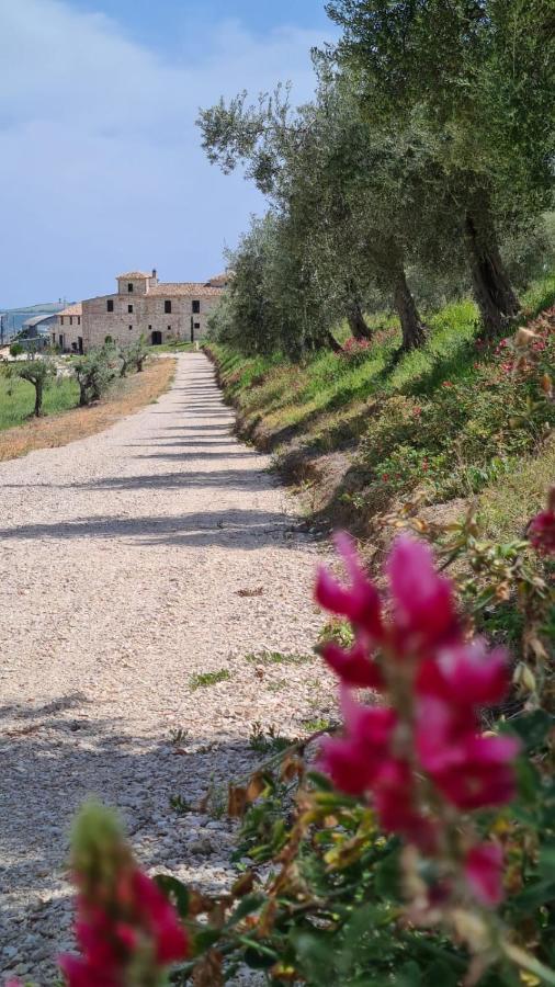 Castello Di Petecciano B&B Mosciano Sant'Angelo Bagian luar foto